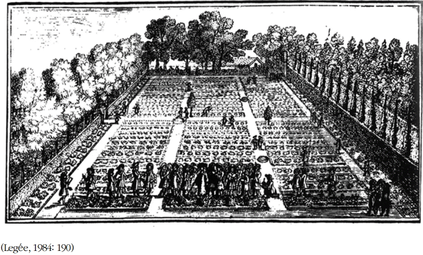 그림 1. 국왕의 정원 교수 투른느포르의 현장실습 장면. 1694년에 출간된 투른느포르의 저서 『식물학의 개념』에 수록된 판화 (도판 소장처: 파리 자연사 박물관 도서관)